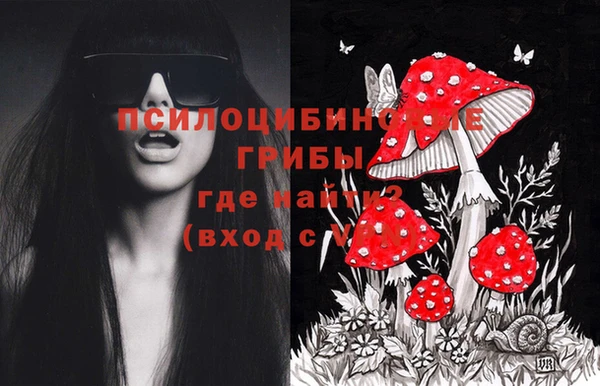 дмт Магадан