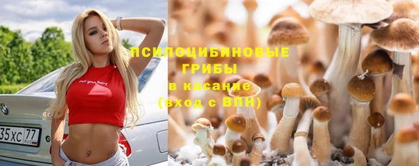 винт Магас