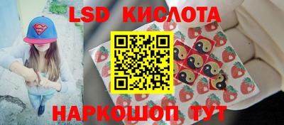 крисы Аргун