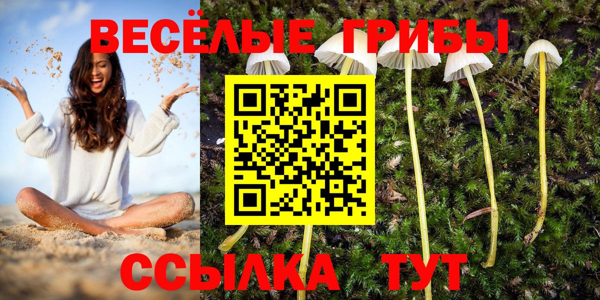 Галлюциногенные грибы Psilocybine cubensis Бугуруслан