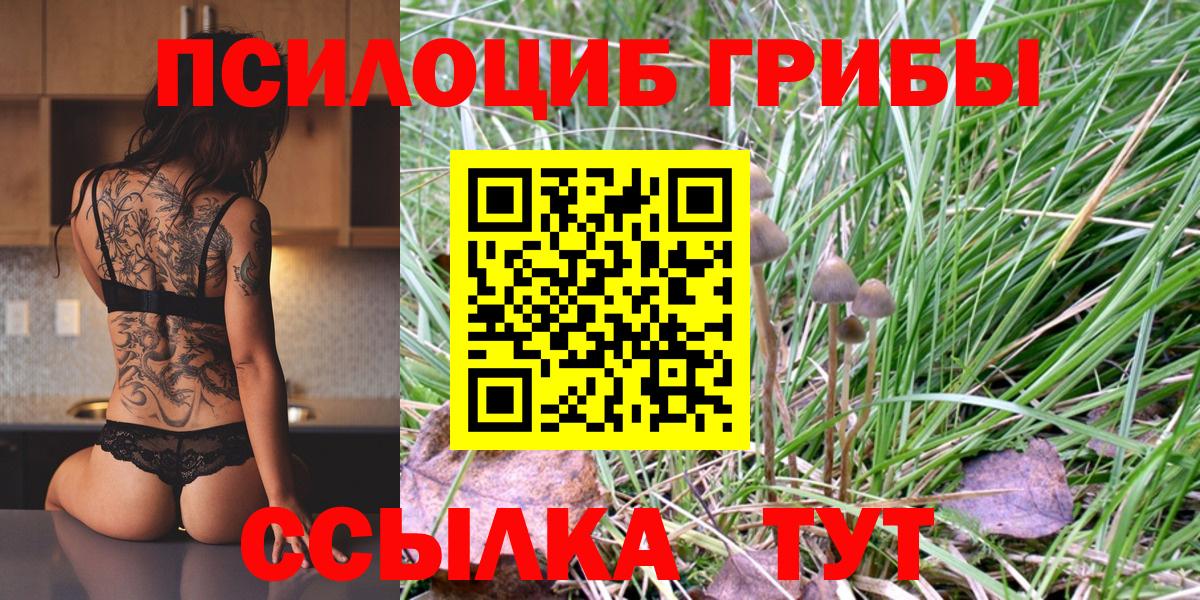 Псилоцибиновые грибы прущие грибы  Бугуруслан 