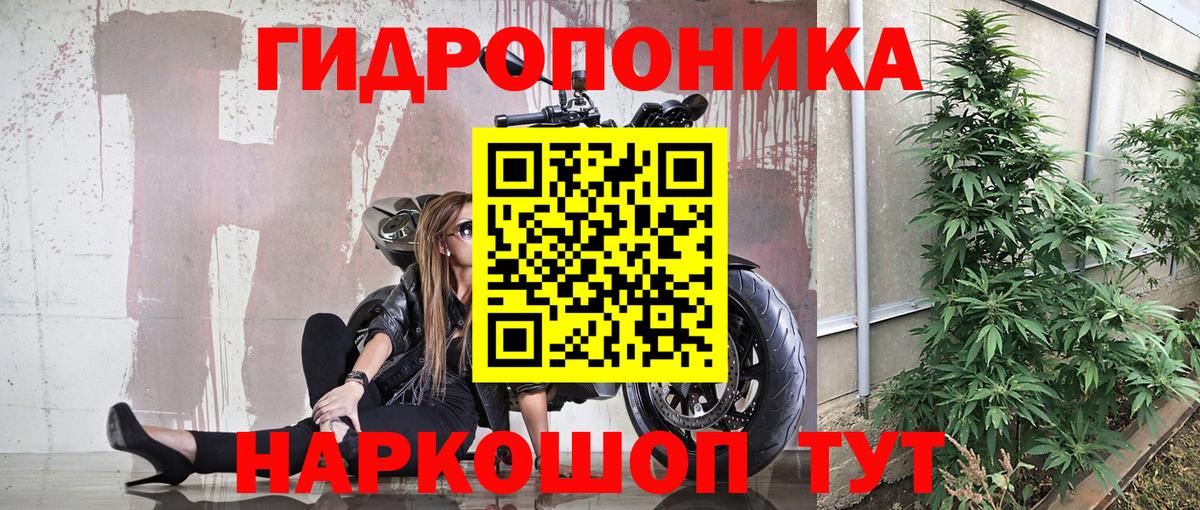 Бошки Шишки гибрид Бугуруслан